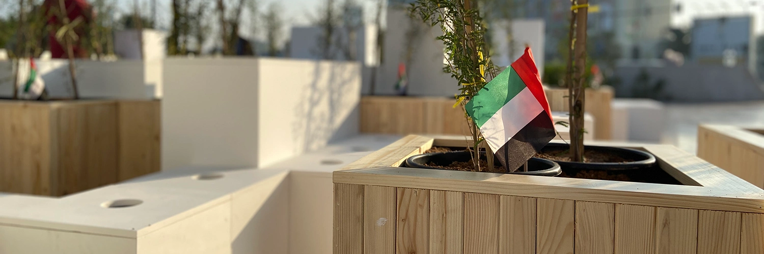 A month-long public activation using minimal wooden planting boxes and Ghaf-tree participation to honour Sheikh Zayed within the memorial’s architectural language.